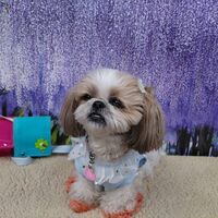 画像11244
