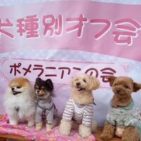 画像11262