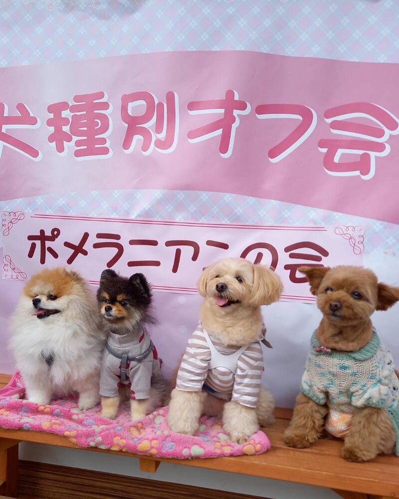 画像11262