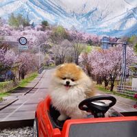 画像11263