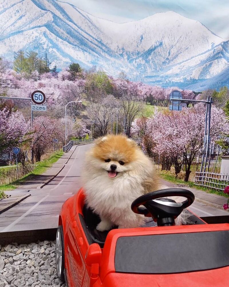 画像11263