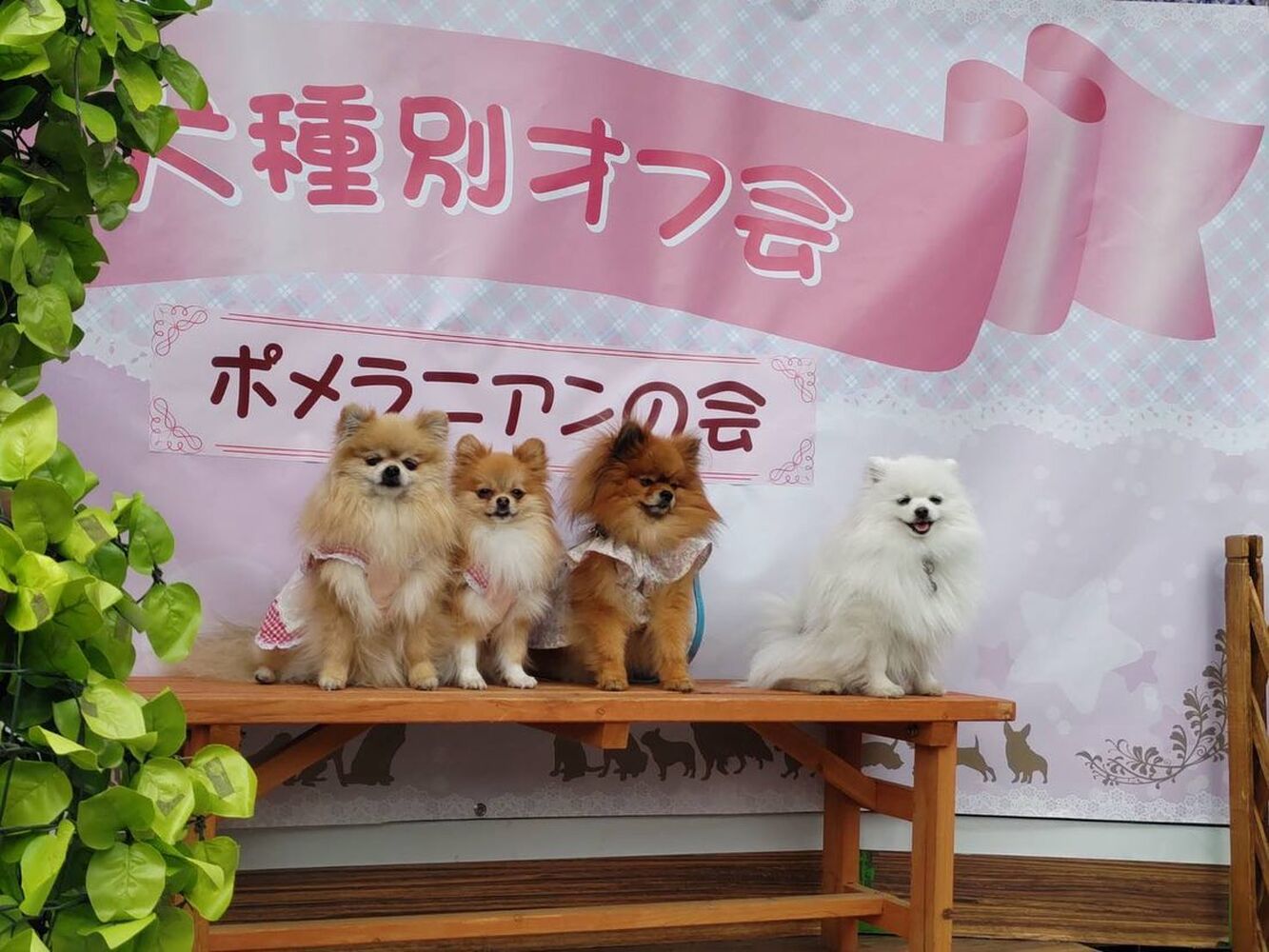 画像11272
