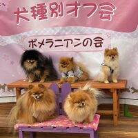 画像11280