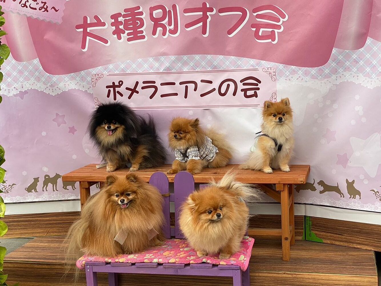 画像11280