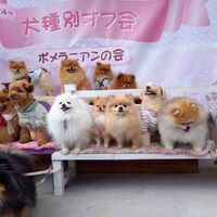 画像11281