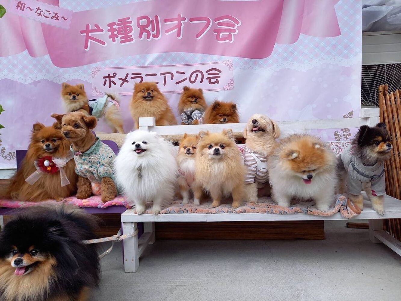 画像11281