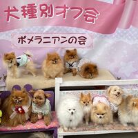 画像11282