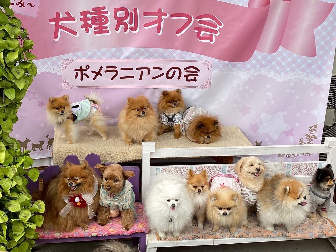 画像11282