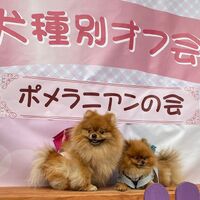 画像11283