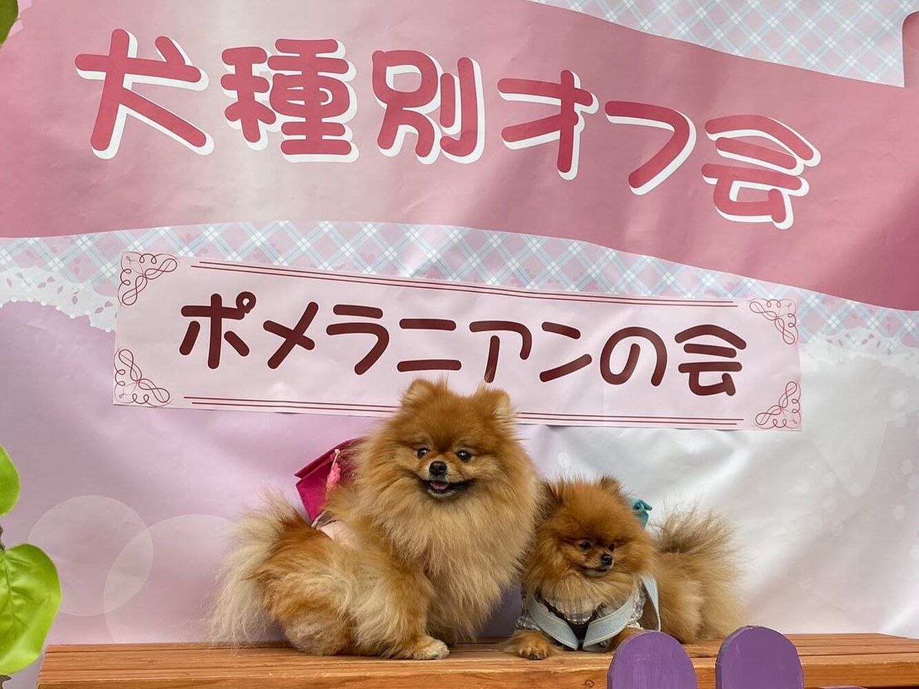 画像11283