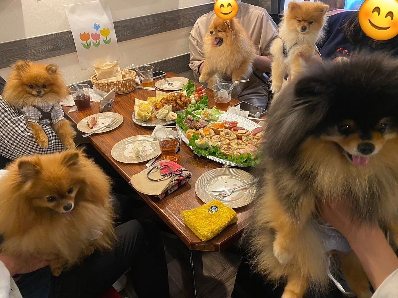 画像11284