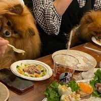 画像11286
