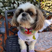 画像11304