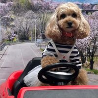 画像11337