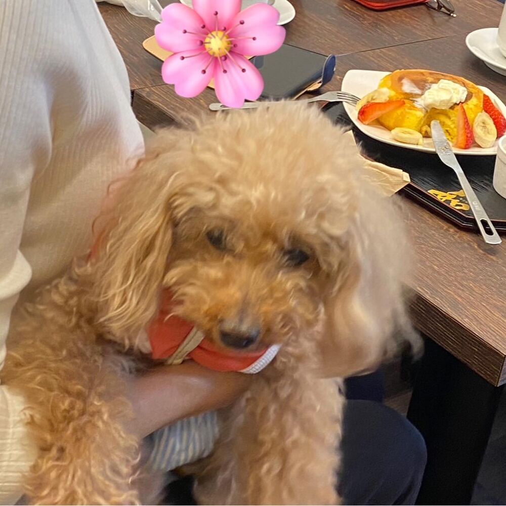 画像11366