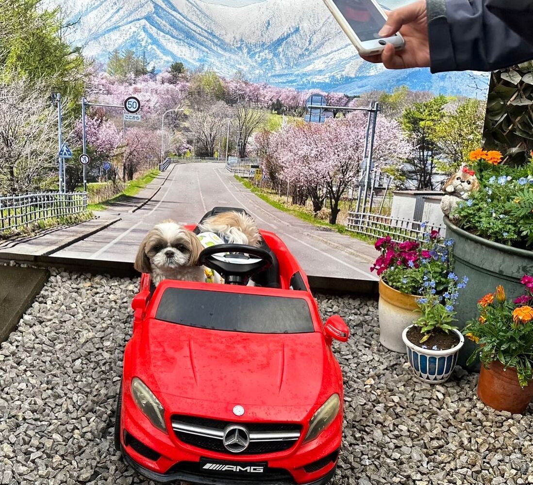 画像11374