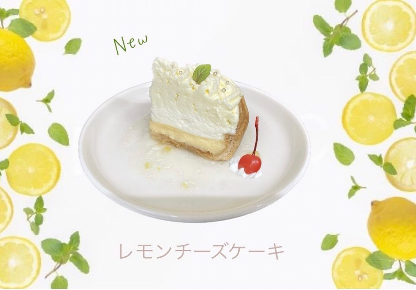 画像11388