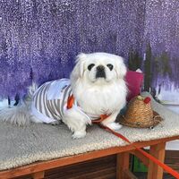 画像11422