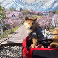 画像11434