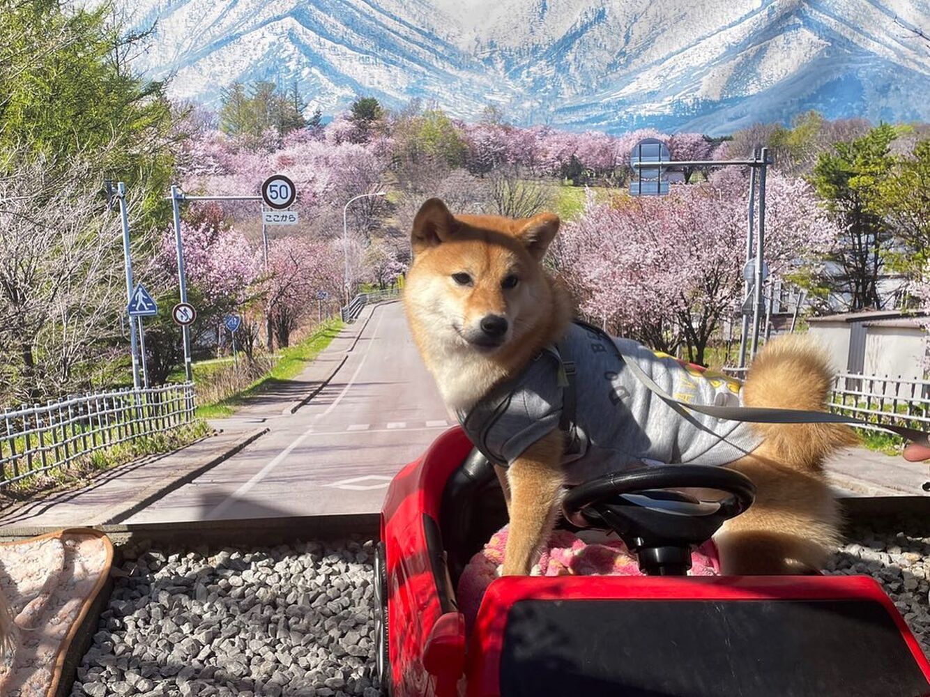 画像11434