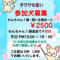 画像11518