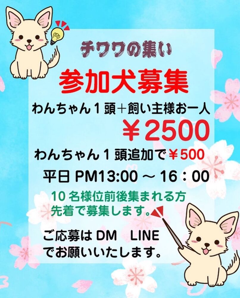 画像11518