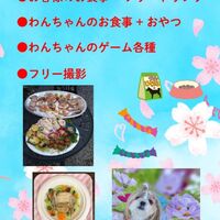画像11519