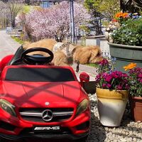 画像11539