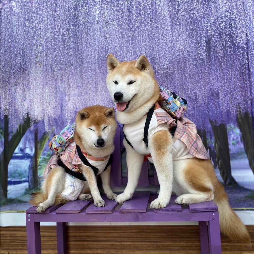 画像11544