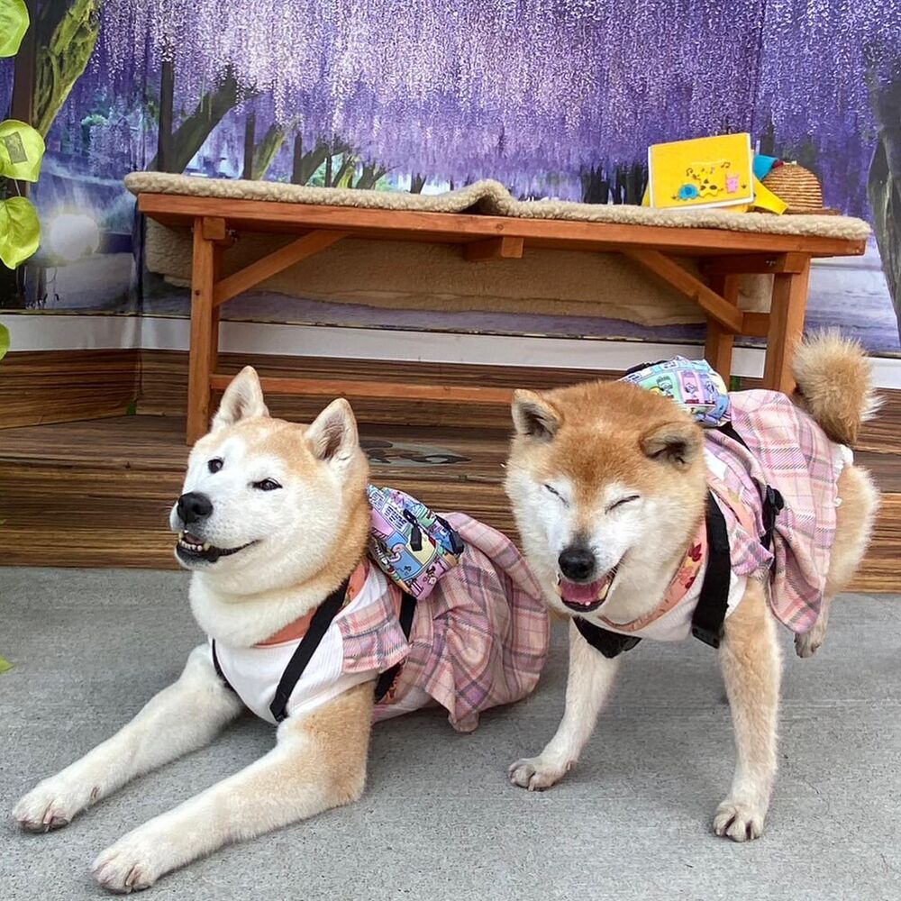 画像11545