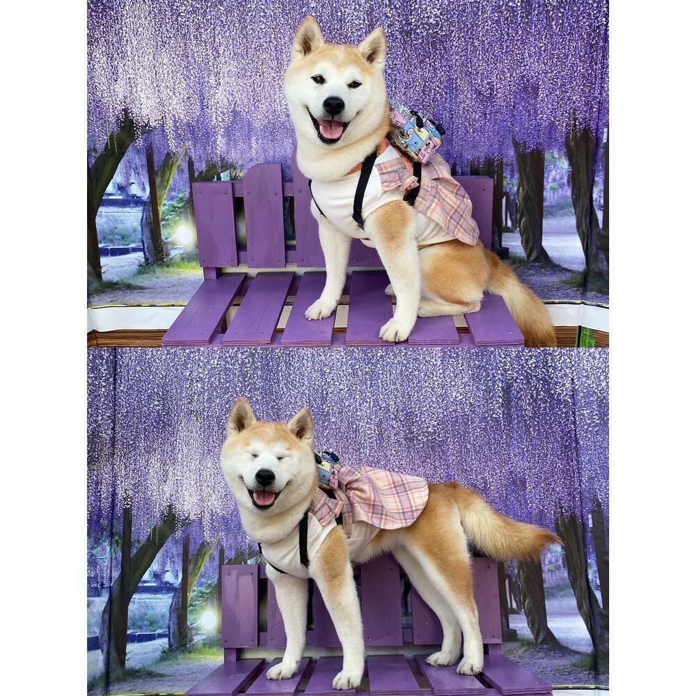 画像11546