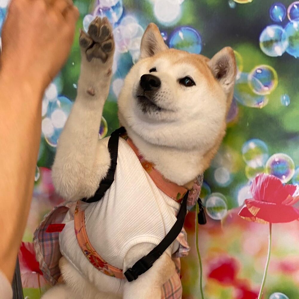 画像11548