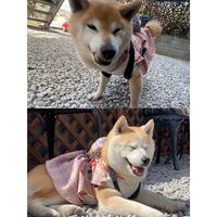 画像11550