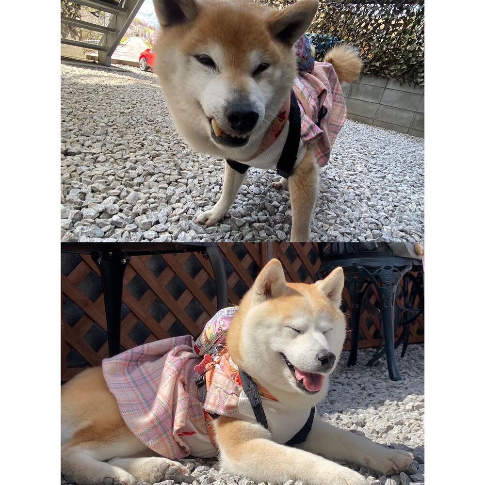 画像11550