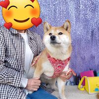 画像11571