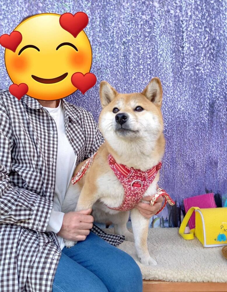 画像11571