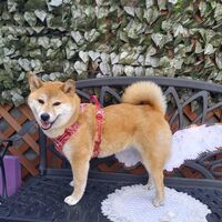 画像11573