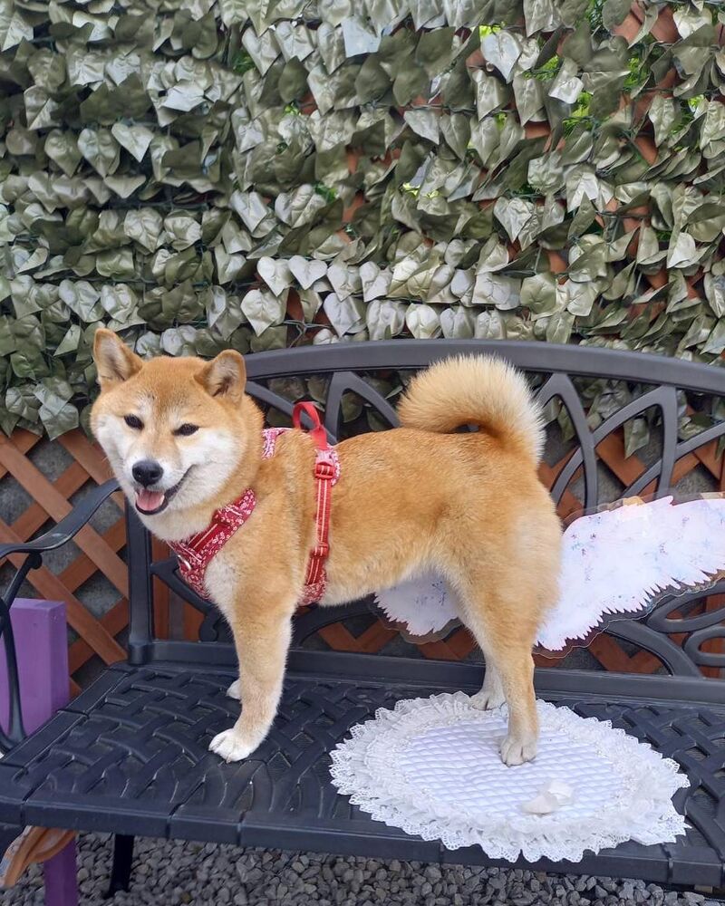 画像11573