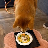 画像11580