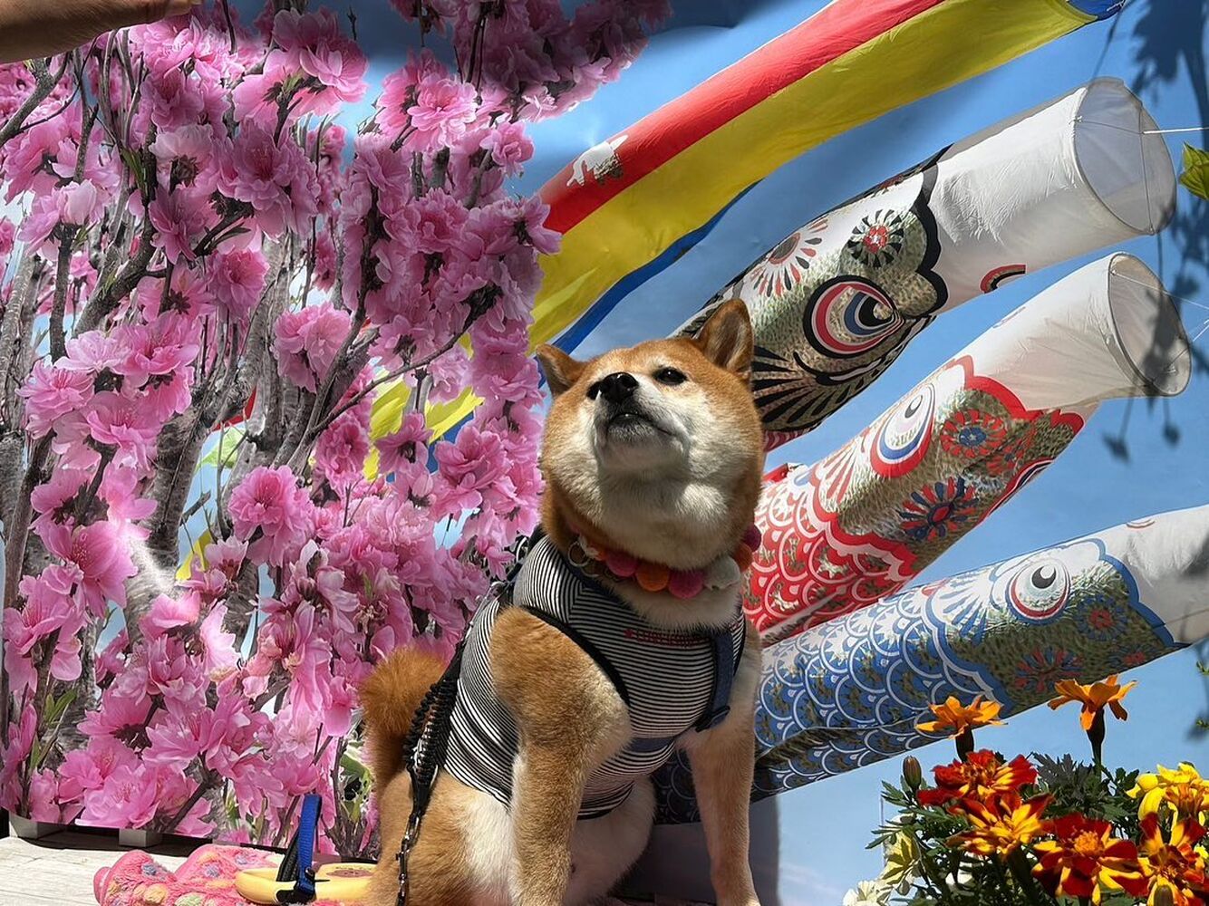 画像11601