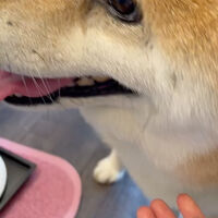 画像11699
