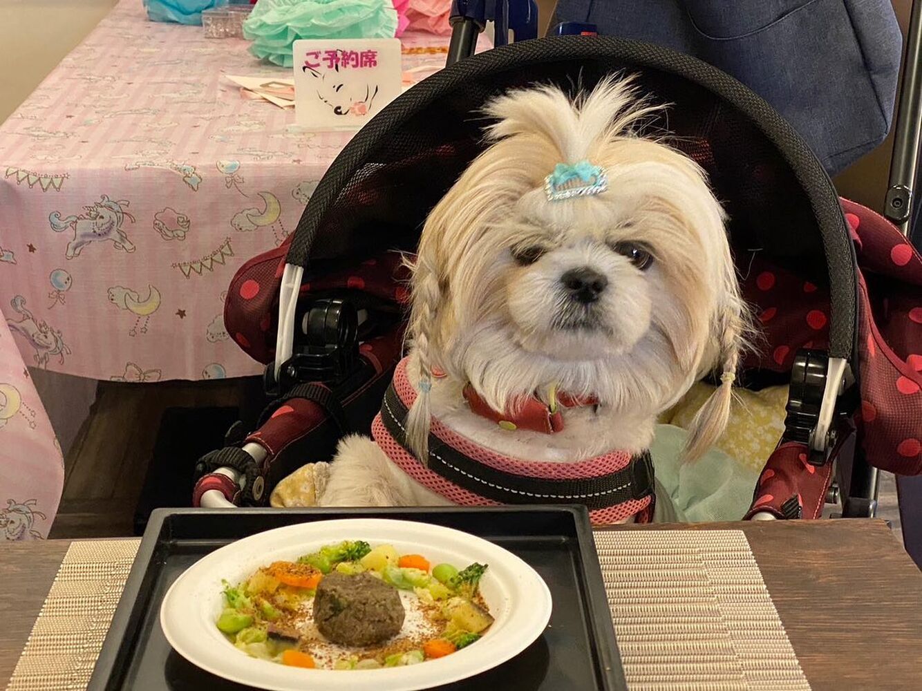画像11732