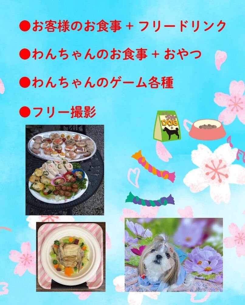 画像11792