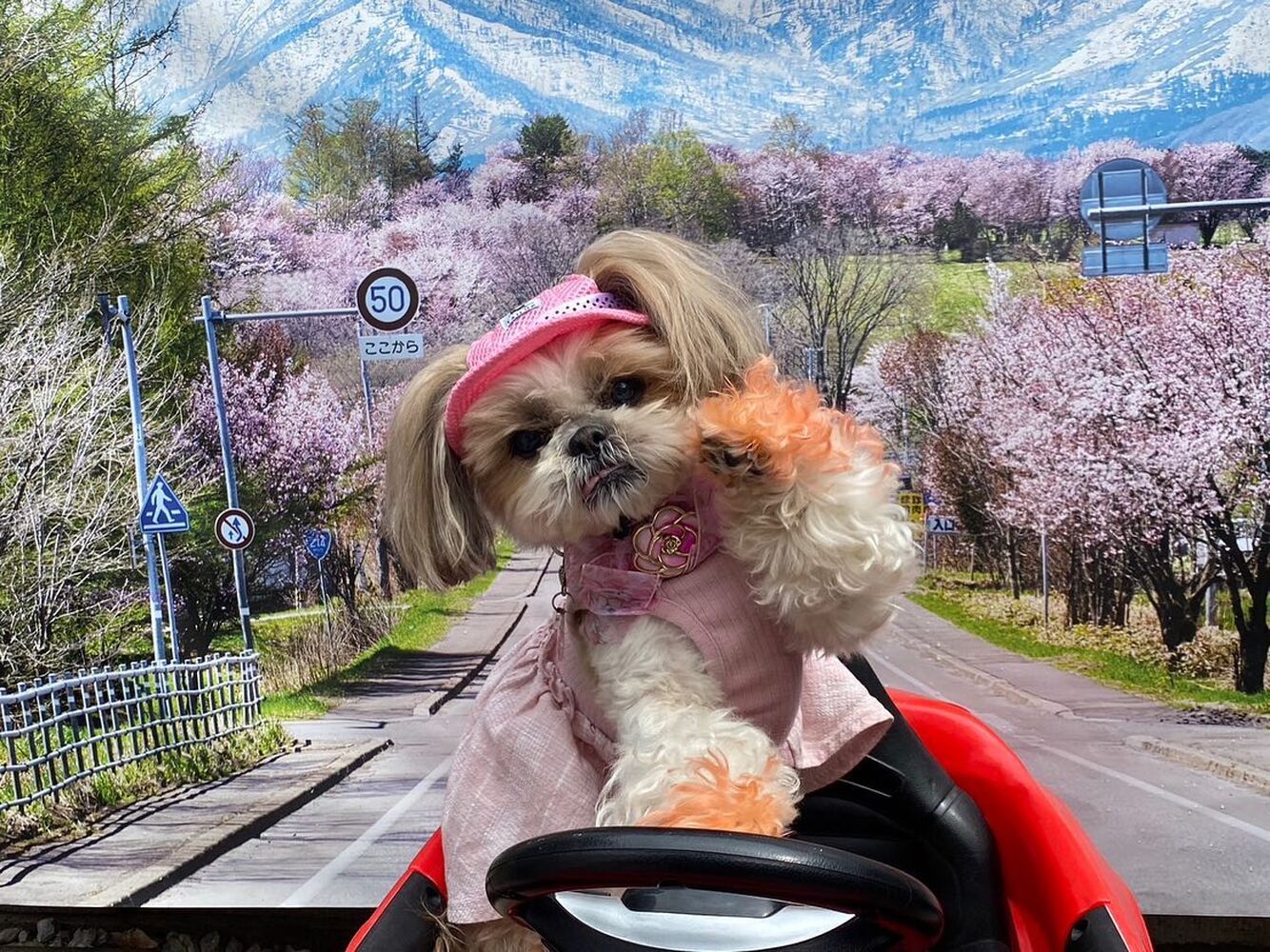 画像11819