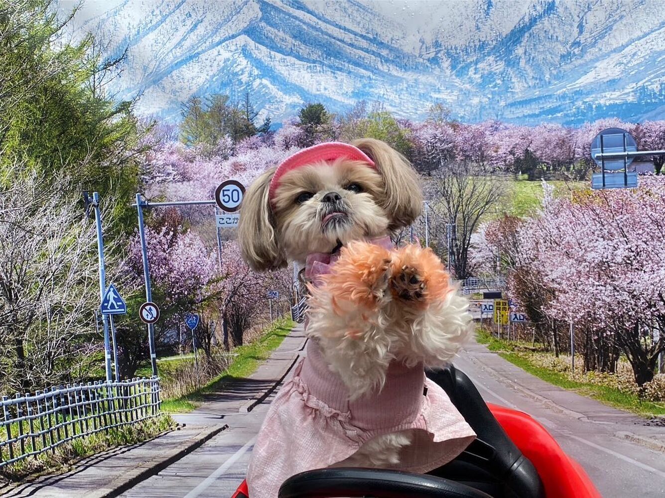 画像11820