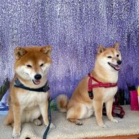 画像11829