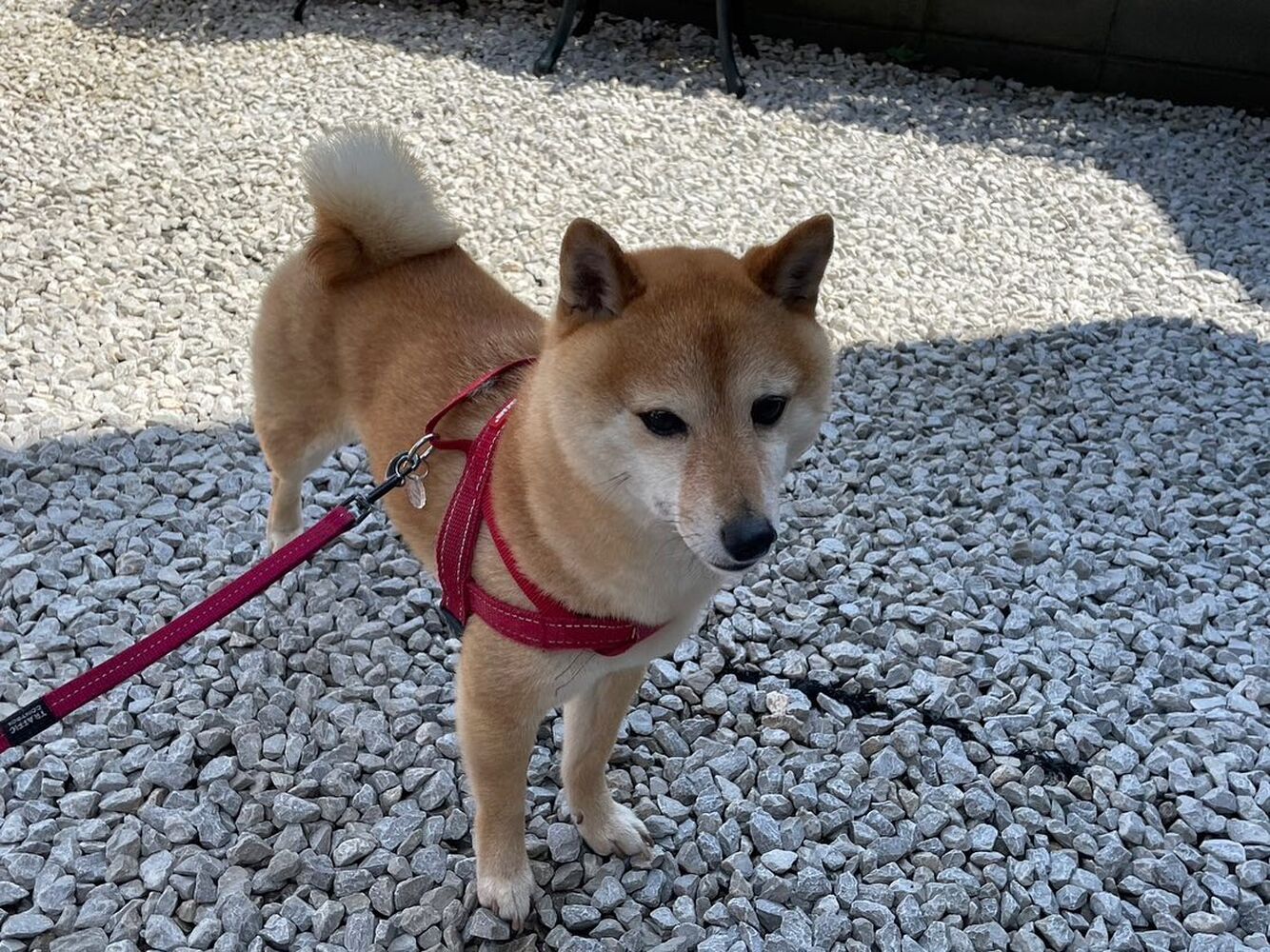 画像11834