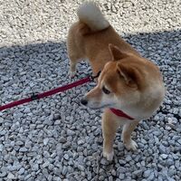 画像11835