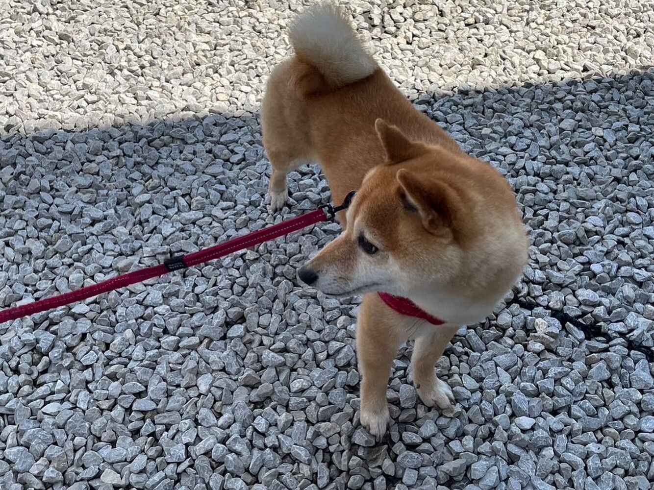 画像11835