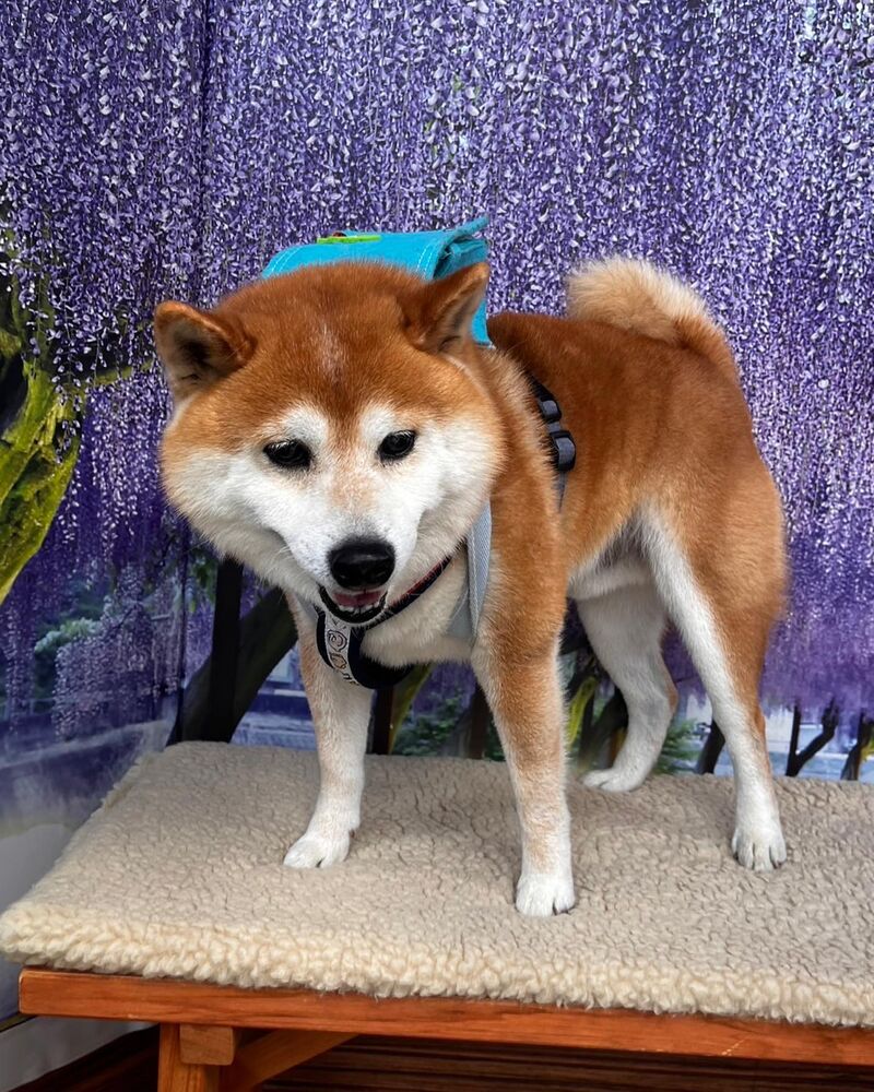 画像11870